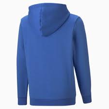 PUMA ESS BIG LOGO HOODIE FL B RYL