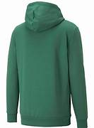 Puma Ess+2 Col Big Logo Hoodie FL Vine