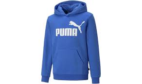 PUMA ESS BIG LOGO HOODIE FL B RYL